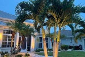 East Viera Residential Landscape Lighting 1