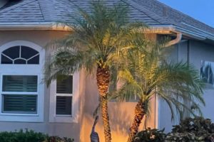 East Viera Residential Landscape Lighting 1