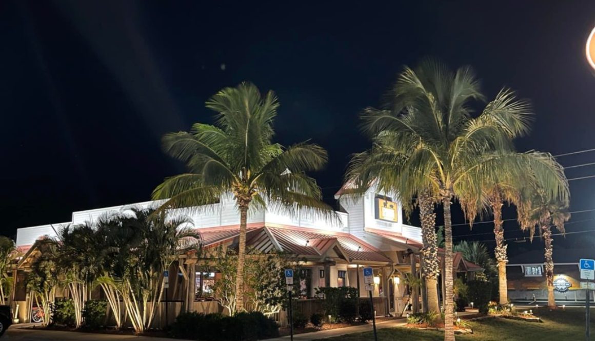 commercial landscape lighting melbourne florida