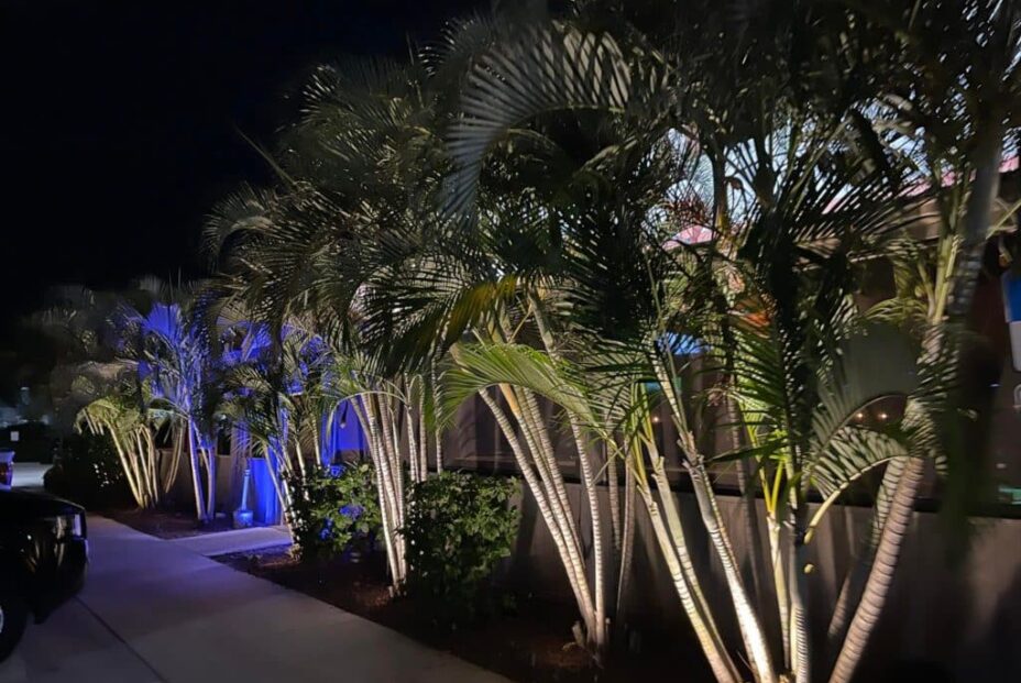 commercial landscape lighting melbourne florida