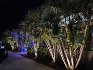 commercial landscape lighting melbourne florida