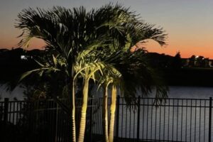 landscape lighting in melbourne florida