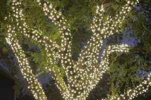 outdoor lighting installation melbourne fl 2