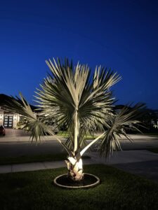 best outdoor lighting installation brevard county fl