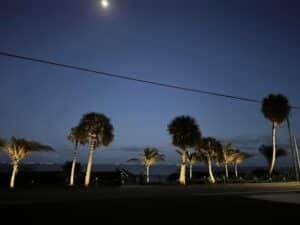 landscape lighting ideas, viera fl landscape lighting experts, best landscape lighting installers Brevard County FL