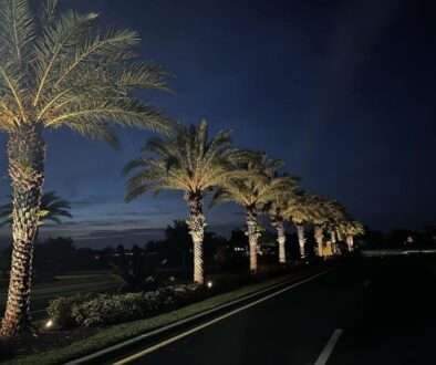 landscape lighting Brevard County FL